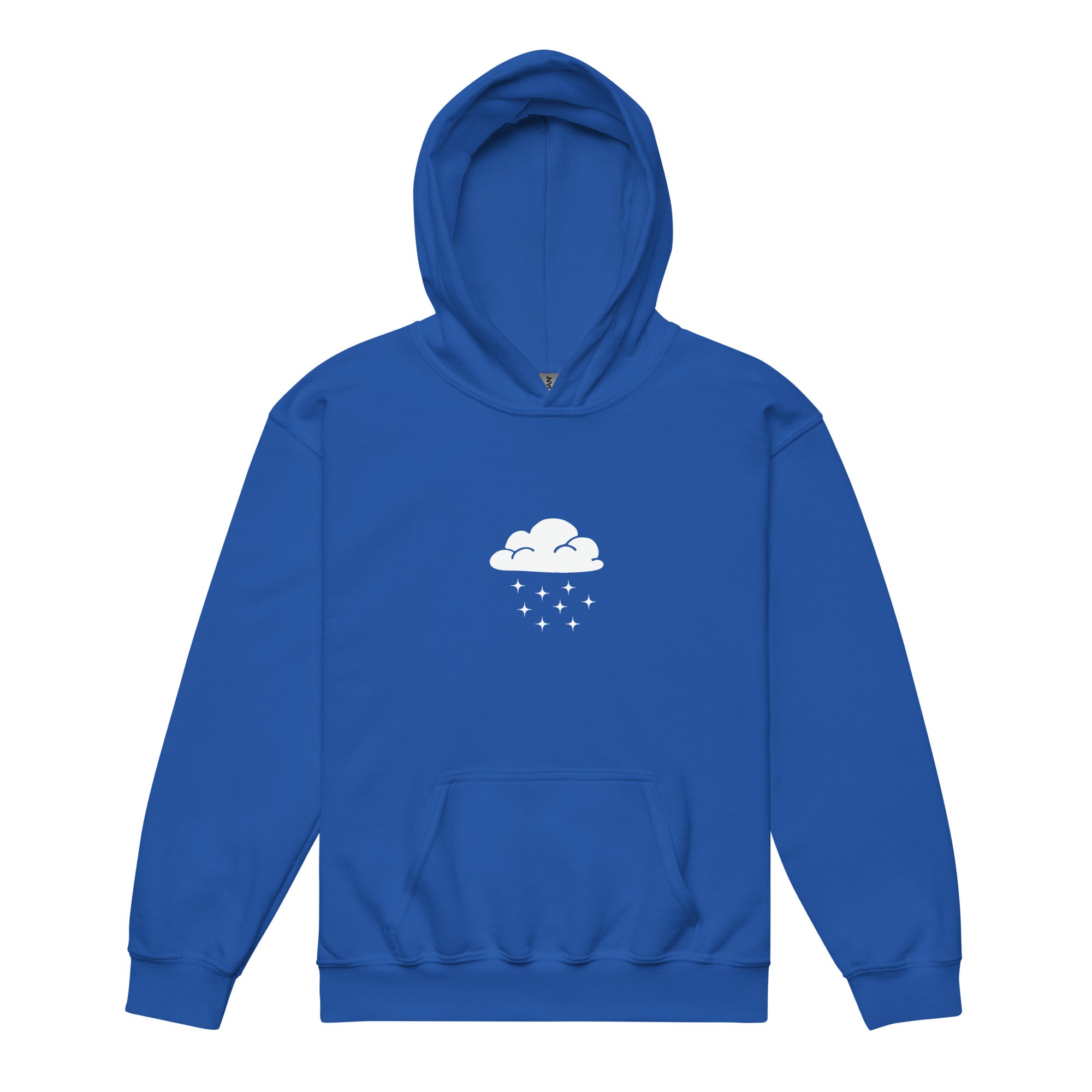 Snow Day - Youth heavy blend hoodie